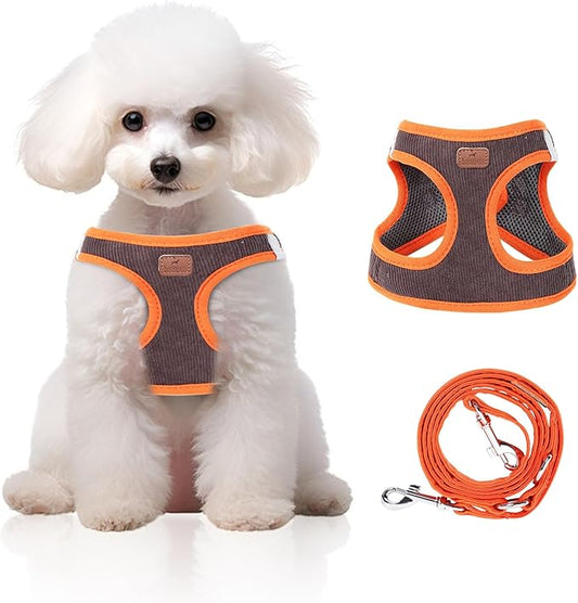 Dog Harness with Multifunction Dog Leash,No Pull Reflective Step-in Harness for Soft Adjustable No Choke Escape Proof,Easy Walk Dog Harness for Medium Dogs (Orange&Dark Grey, M)