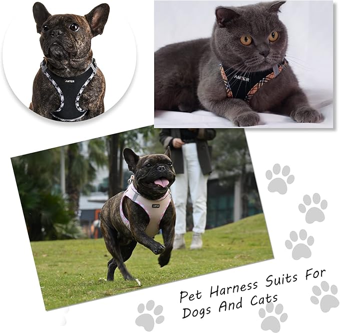 AMTOR Small Dog Harness with Leash Set, No Escape Easy Walk Puppy Harnesses for Training Walking, Step-in Reflective Soft Dogs Vest for XS S Medium Extra-Small Large Sized Dog(Pink,L)