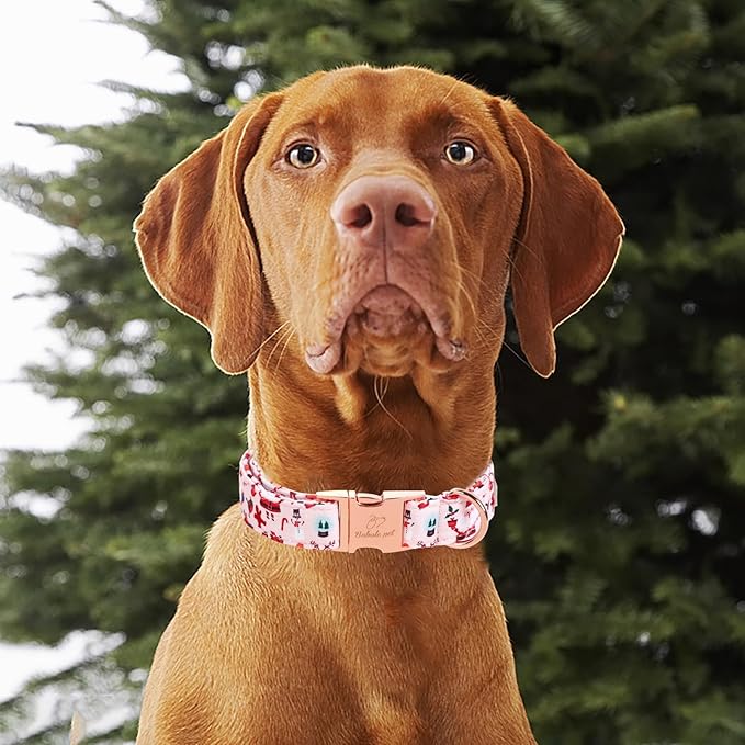 Christmas Dog Collar for Large Dog,Pink Elk Santa Claus Male Dog Collar with Safety Metal Buckle Adjustable Puppy Collars for Small Medium Boy&Girl Dog, L,16"-24"