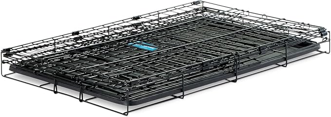 Carlson Pet Products Secure and Foldable Single Door Metal Dog Crate, Medium,Black