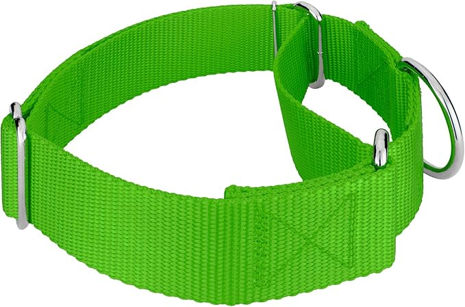 Country Brook Petz 1 1/2 Inch Martingale Heavy Duty Nylon Adjustable Dog Collar for Small, Medium, Large Breeds - Vibrant 17 Color Selection (Hot Lime Green, Medium)
