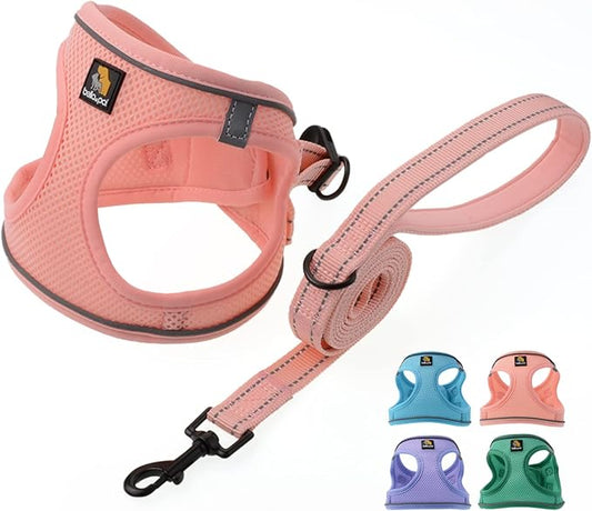 BELLA & PAL Puppy Harness with Leash Set, Dog Harness for Small Dogs No Pull, Dog Leash for Small Dogs, Step in Harness for Extra Small Dogs, Pink Harness, XS