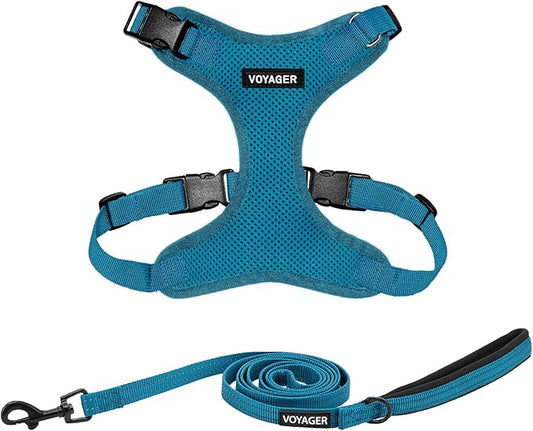 Voyager Step-in Lock Dog Harness w Reflective Dog Leash Combo Set with Neoprene Handle 5ft - Supports Small, Medium and Large Breed Puppies/Cats by Best Pet Supplies - Turquoise, XL