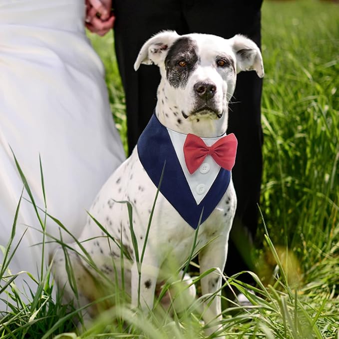 FUAMEY Dog Tuxedo - Formal Dog Wedding Collar with Bow Tie, Party Tux for Small to Large Pets, Blue