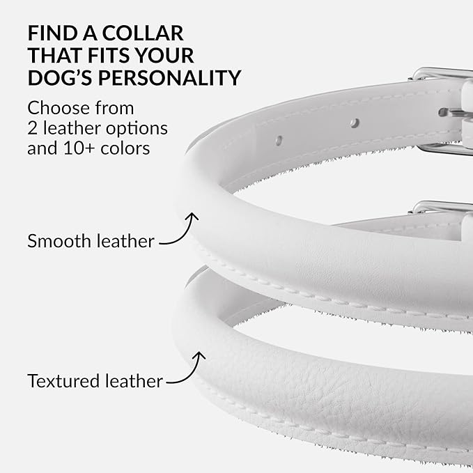 CollarDirect Rolled Leather Dog Collar, Soft Padded Round Puppy Collar, Handmade Genuine Leather Collar Dog Small Large Cat Collars 13 Colors (13-16 Inch, White Smooth)