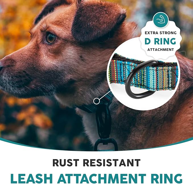 Embark Urban Dog Collar – Dog Collar Stylish & Durable Nylon Dog Collar for Large Dogs, Small Dogs & Medium Dogs.Comfortable Pet Collar Strong Buckles for Any Size Breed (Boho, Large)