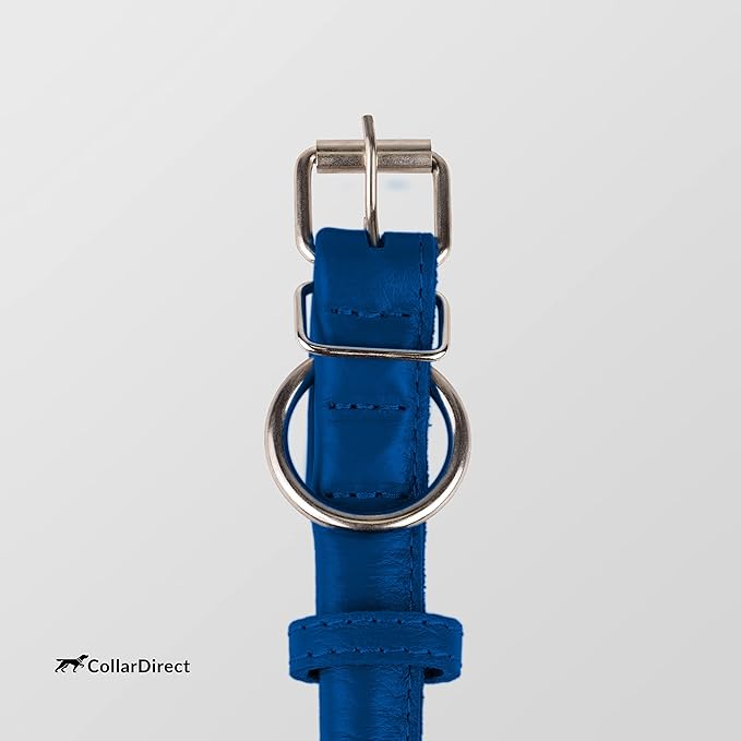 CollarDirect Rolled Leather Dog Collar, Soft Padded Round Puppy Collar, Handmade Genuine Leather Collar Dog Small Large Cat Collars 13 Colors (12-15 Inch, Dark Blue Textured)