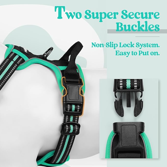 rabbitgoo Dog Harness, No-Pull Pet Harness with 2 Leash Clips, Adjustable Soft Padded Dog Vest, Reflective No-Choke Pet Oxford Vest with Easy Control Handle for Large Dogs, Black & Turquoise, S