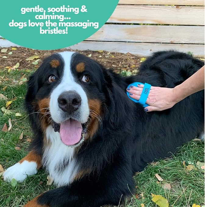 Mighty Mutt Soothing Dog Shampoo and Conditioner + Brush Bundle | Fresh Breeze (9 fl oz) | Deodorizes Smelly Dogs | Detangles | Natural, Hypoallergenic & Anti-Itch Dog Shampoo Sensitive Skin