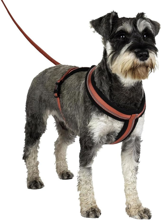 HALTI Comfy Harness - Lightweight, Fleece-Lined, Reflective & Adjustable Dog Harness, Front & Back Ring for a Dog Leash, Great for Puppy Walks. Suitable for Small Dogs and Puppies (Size Small)
