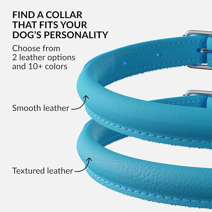 CollarDirect Rolled Leather Dog Collar, Soft Padded Round Puppy Collar, Handmade Genuine Leather Collar Dog Small Large Cat Collars 13 Colors (11-14 Inch, Light Blue Smooth)