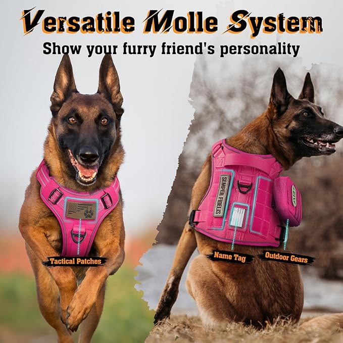 rabbitgoo Dog Harness for Large Dogs No Pull, Tactical Service Dog Vest with Molle and Control Handle, Adjustable and Reflective Military Pet Harness for Easy Walking and Training, Rose Red, XL