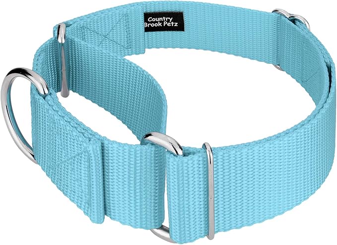Country Brook Petz 1 1/2 Inch Martingale Heavy Duty Nylon Adjustable Dog Collar for Small, Medium, Large Breeds - Vibrant 17 Color Selection (Ocean Blue, Large)