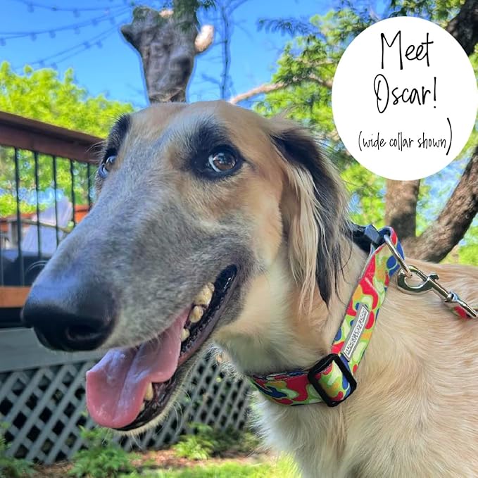 Lucky Love Dog Wide Dog Collar - Adjustable, Durable, Soft Webbing, & Comfortable 1.5 inch Wide Collar for Dogs Male and Female - in Oscar Pattern with Strong Buckle, Large Size