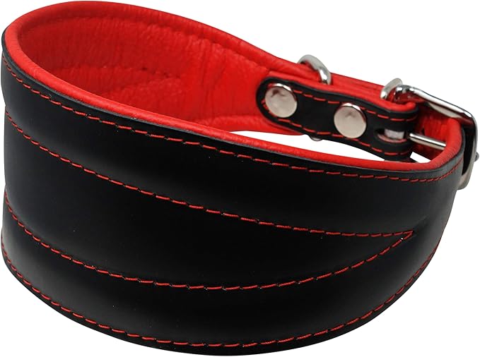 Real Leather Extra Wide Padded Tapered Dog Collar Glossy Black Greyhound Saluki Deerhound Lurcher Whippet Dachshund (8"-9.25" Neck; 1.75" Wide, Red)