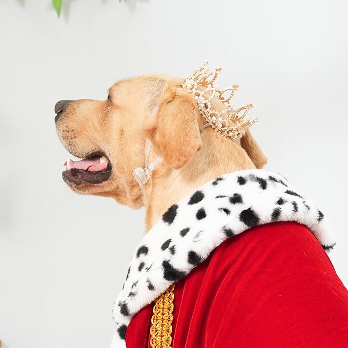 Lovelyshop Pet Series Gold Plated Royal Rhinestone Pearl Full Round Dog/Cat Crown for Rolyal Family Costume Hair Accessories-XLarge Size