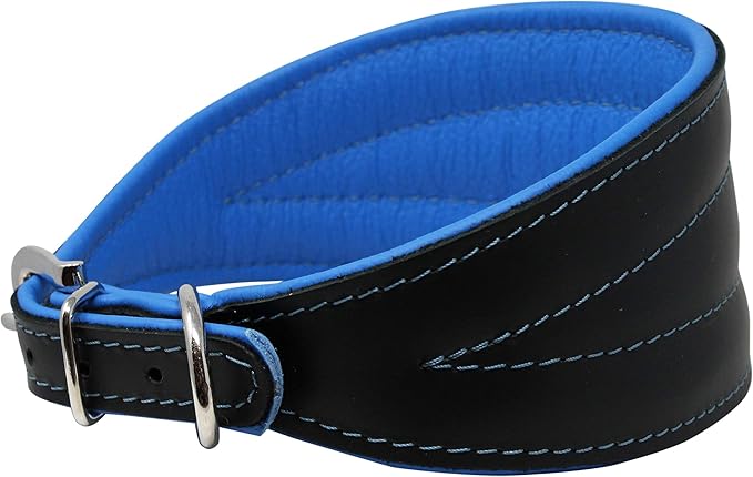 Real Leather Extra Wide Padded Tapered Dog Collar Glossy Black Greyhound Saluki Deerhound Lurcher Whippet Dachshund (13.25"-15.25" Neck; 2.5" Wide, Blue)