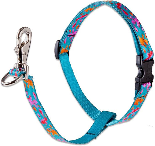 LupinePet Originals 3/4" Wet Paint 16-26" No Pull Harness for Small-Medium Dogs