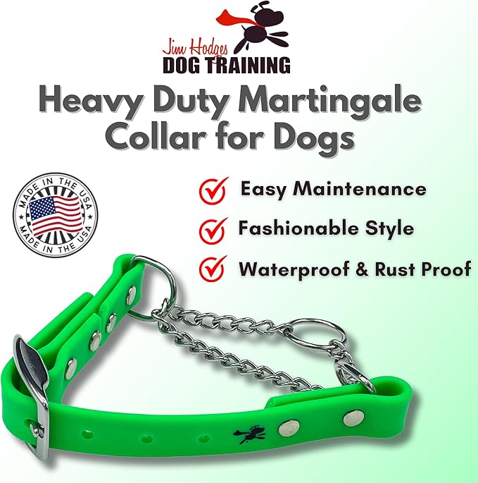 Martingale Collar for Dogs, Biothane, Stainless Steel Hardware, No Pull, Made in The USA, Professional Grade, XL, Green