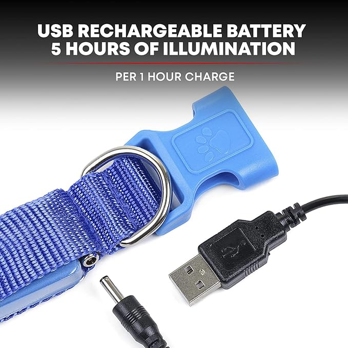 Illumiseen LED Dog Collar USB Rechargeable - Bright & High Visibility Lighted Glow Collar for Pet Night Walking - Weatherproof, in 6 Colors & 6 Sizes (Blue Large)