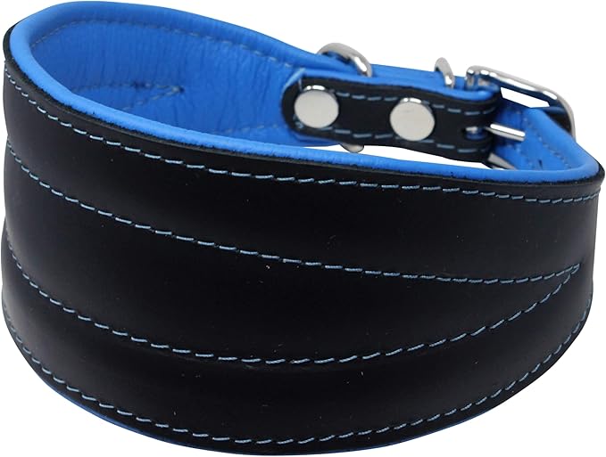 Real Leather Extra Wide Padded Tapered Dog Collar Glossy Black Greyhound Saluki Deerhound Lurcher Whippet Dachshund (16.25"-18.75" Neck; 3" Wide, Blue)