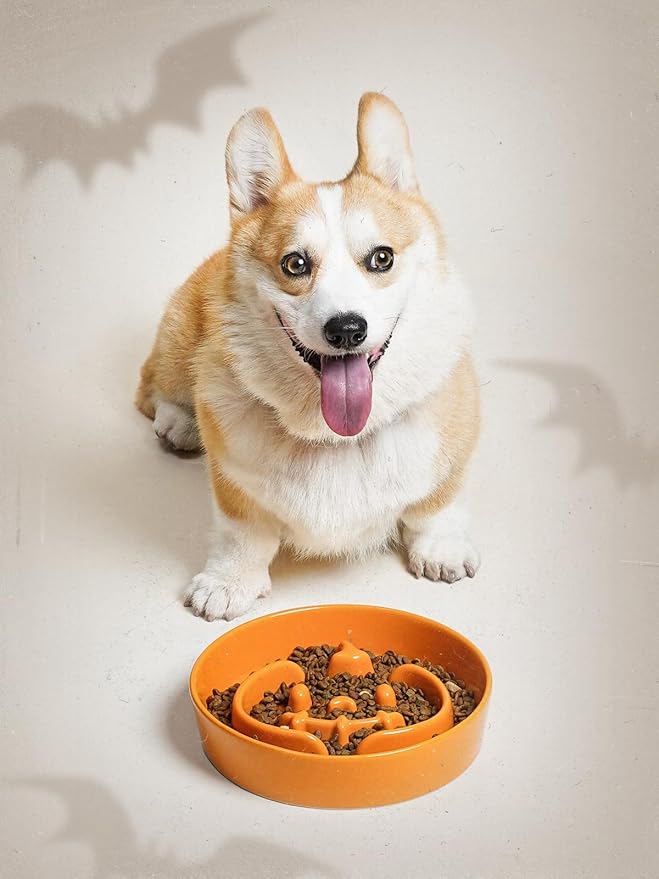 LE TAUCI Dog Bowls Slow Feeder Ceramic, 1.5 Cup Slow Feeding Bowl for Medium Breed Puppies & Fast Eaters, Puzzle Dog Food Bowl, Pumpkin Orange