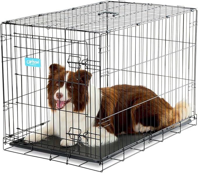 Carlson Pet Products Secure and Foldable Single Door Metal Dog Crate, Intermediate