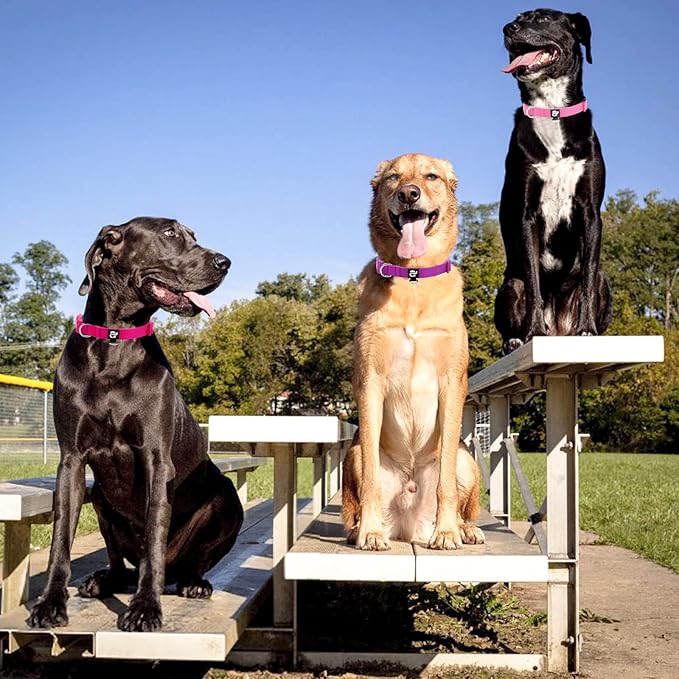 azuza 3 Pack Dog Collars Comfortable and Adjustable Nylon Dog Collars for Puppy Small Dogs, XS (8-12inch)，Pink, Hot Pink and Purple