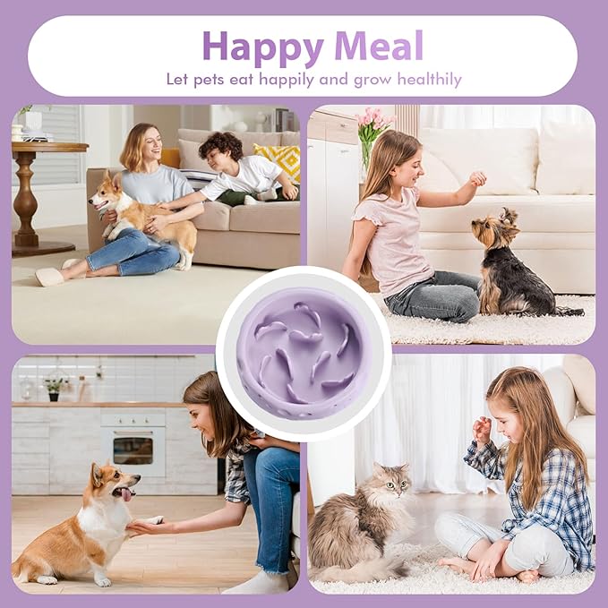 Silicone Slow Feeder Dog Bowls & Cat Bowls, 2 Cups Small Pet Food Bowl with Non-Slip Suction Base, Food-Grade Safe Puzzle Feeder for Small & Medium Dogs & Indoor Cats - Dishwasher & Microwave Safe