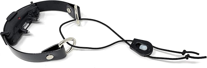 Sparky Pet Co - ECollar Replacement Strap -Black Surefit- Waterproof - Adjustable - Secure Nexus Wheel Lock - for Electronic Training & Invisible Fence Systems - 3/4" (Black)