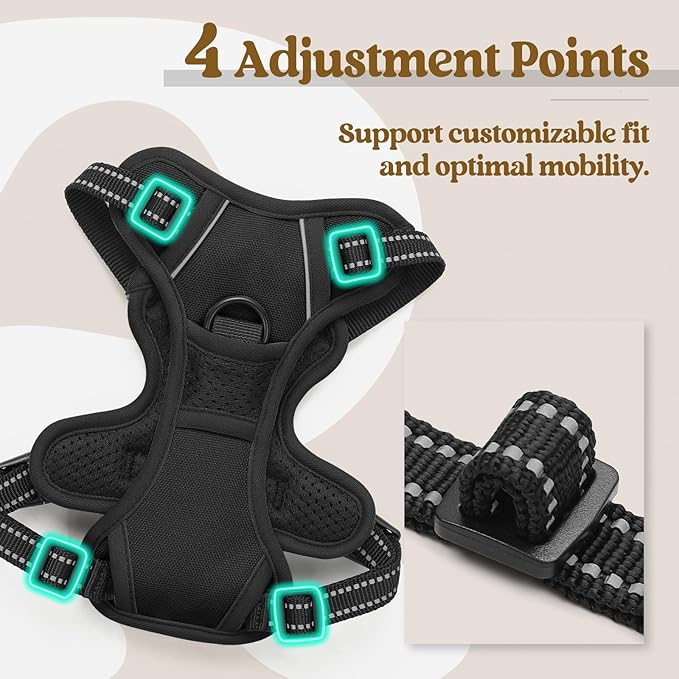 rabbitgoo Dog Harness, No-Pull Pet Harness with 2 Leash Clips, Adjustable Soft Padded Dog Vest, Reflective No-Choke Pet Oxford Vest with Easy Control Handle for Small Dogs, Black, X-Small