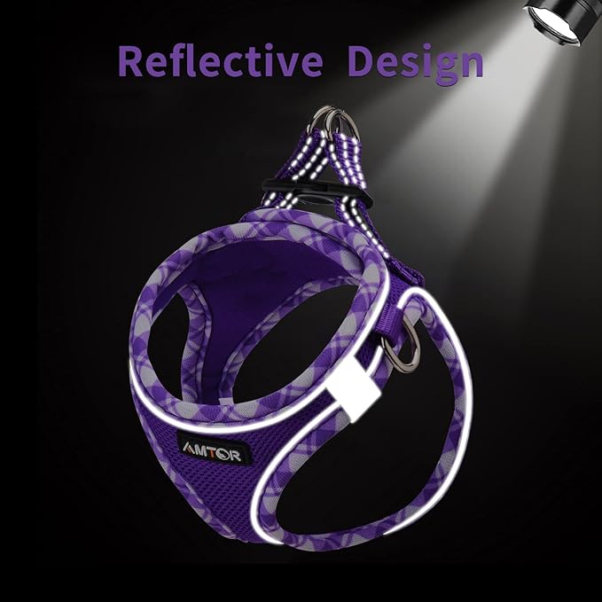 AMTOR Small Dog Harness with Leash Set, No Escape Easy Walk Puppy Harnesses for Training Walking, Step-in Reflective Soft Dogs Vest for XS S Medium Extra-Small Large Sized Dog(Purple,XS)