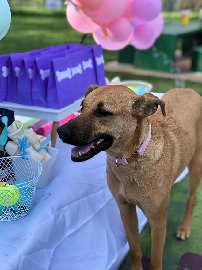 ARING PET Velvet Dog Collars with Bow tie, Bowtie Dog Collar, Cute Pink Collar for Girl and Boy Dogs,Large.
