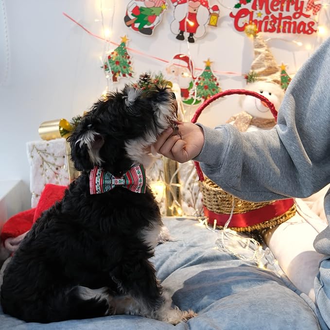 MR. CHUBBYFACE Christmas Plaid Dog Collar for Boy Girl Dogs Adjustable Red Green Dog Collar Bowtie for Small Medium Large Dogs