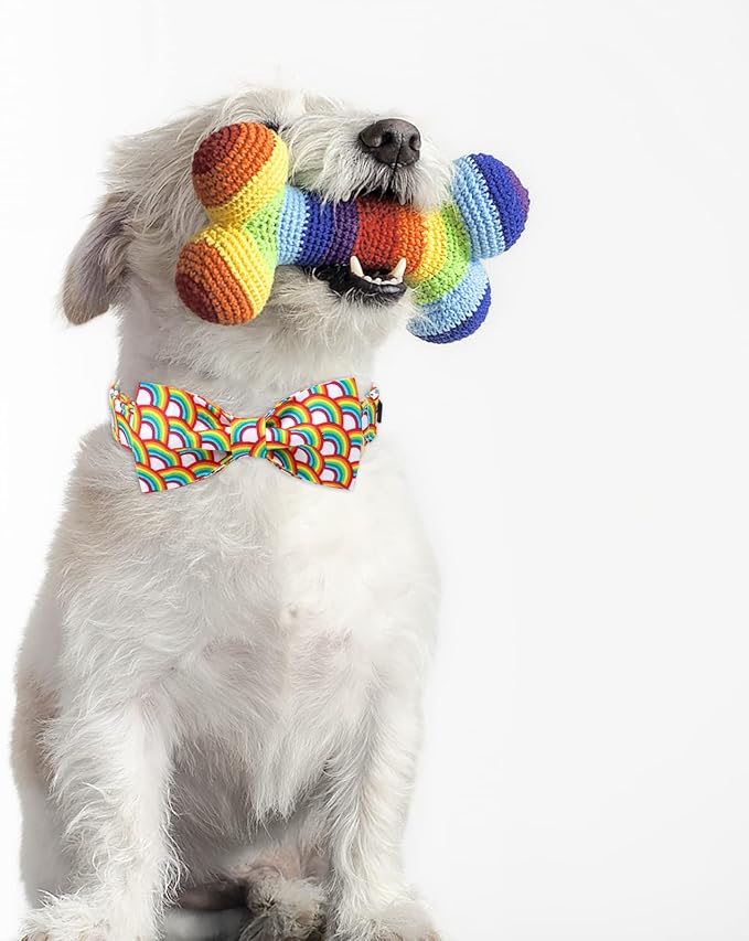 Lionet Paws Rainbow Dog Collar with Bowtie, Soft and Comfortable Adjustable LGBT Pride Bowtie Collar for Dogs Male Female Gift, Small, Neck 10-16 inches