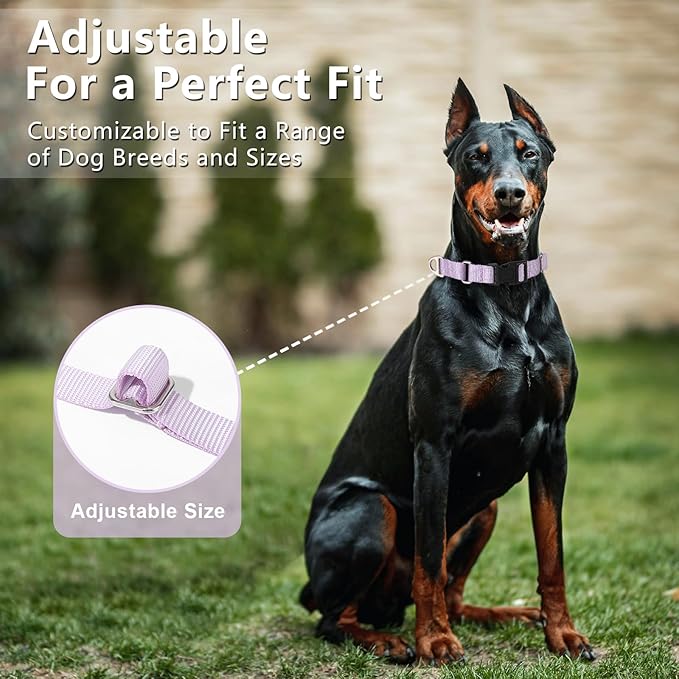 Rttochfy Martingale Dog Collars, Adjustable Nylon Dog Collar with Quick Release Buckle, No Choke Dog Training Collar for Small Medium Large Dogs (Purple, L)