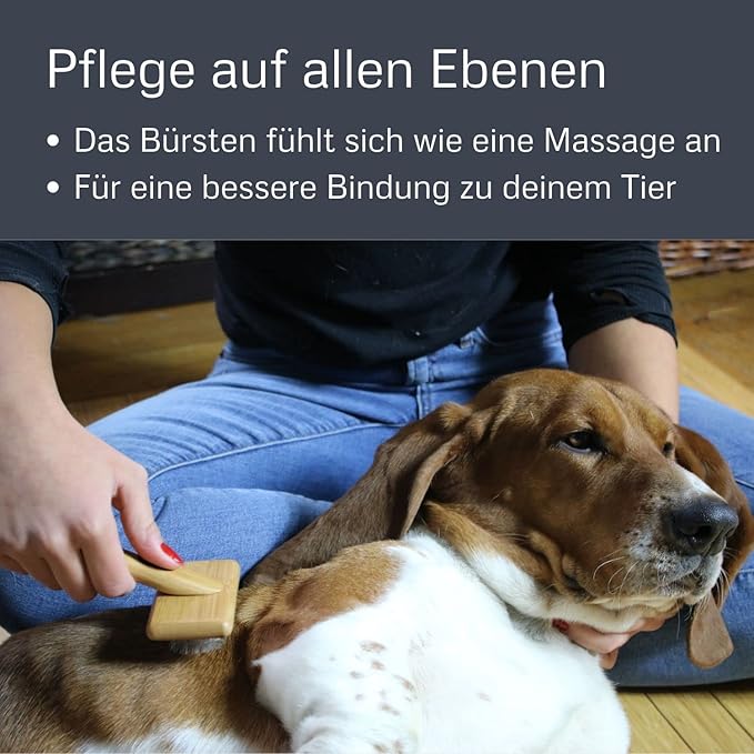 Alcott Bamboo Groom Slicker Brush with Stainless Steel Pins for Pets, Small,Black