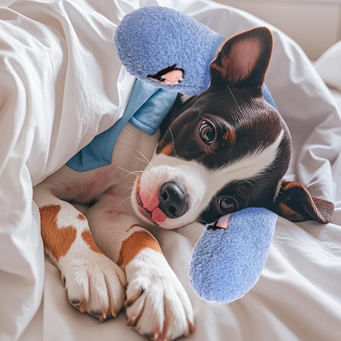 Lystaii Cat Pillow for Indoor Pet Cat Dog Calming Pillow Soft Fluffy Cat Bed Pillow Dog Neck Pillow Pet Toy Half Donut Anxiety Relief Pet Pillow with Cute Embroidery Pattern (Blue, Peaches)