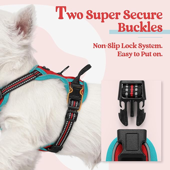 rabbitgoo Dog Harness, No-Pull Pet Harness with 2 Leash Clips, Adjustable Soft Padded Dog Vest, Reflective No-Choke Pet Oxford Vest with Easy Control Handle for Large Dogs, Red & Teal, X-Small