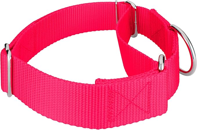 Country Brook Petz 1 1/2 Inch Martingale Heavy Duty Nylon Adjustable Dog Collar for Small, Medium, Large Breeds - Vibrant 17 Color Selection (Hot Pink, Large)