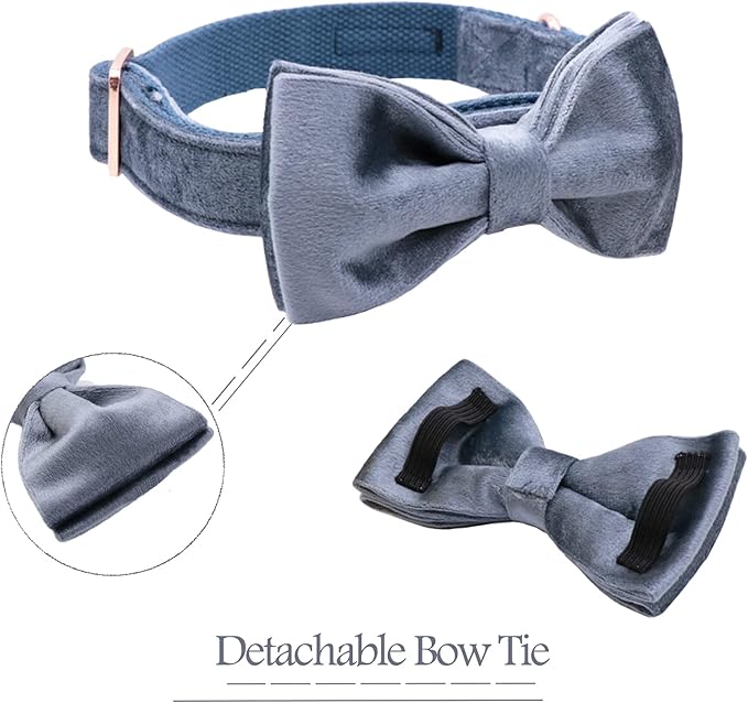 ARING PET Bowtie Dog Collar,Velvet Dog Collars with Detachable Bowtie, Cute &Comfortable Dog Collar, Blue X-Small.