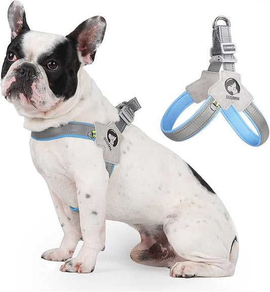 Dog Harness Y-Shaped Harness Breathable Heat Dissipation Easy to Wear Night Reflective Signs for Small and Large Dogs to Wear (Blue,XL Bust 24in-28in)