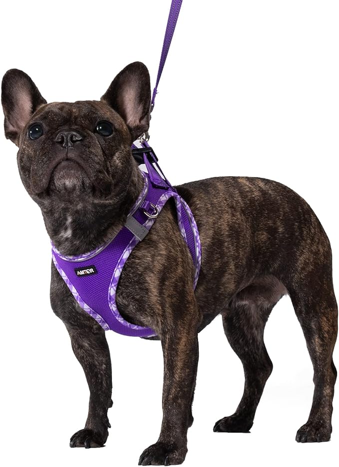 AMTOR Small Dog Harness with Leash Set, No Escape Easy Walk Puppy Harnesses for Training Walking, Step-in Reflective Soft Dogs Vest for XS S Medium Extra-Small Large Sized Dog(Purple,XS)
