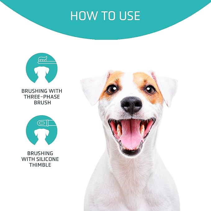 ARTERO Dental Pack Smile