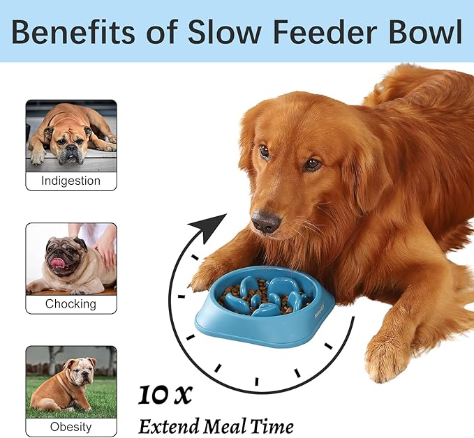 MateeyLife Slow Feeder Dog Bowls, Anti-Choking Puzzle Dog Food Bowls, Anti-Slip Interactive Feeding Slow Down Eating, Bloat Stop Maze Dishes for Medium Large Breeds DarkBlue
