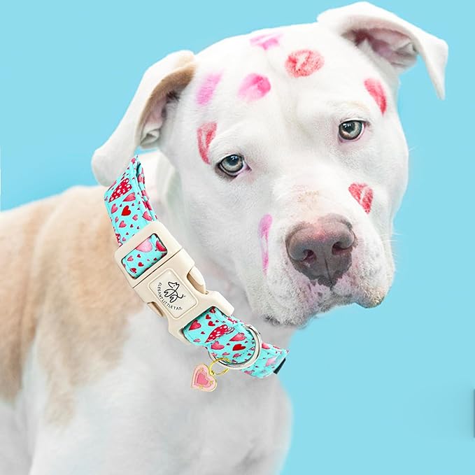 Elegant little tail Valentine's Day Dog Collar-Cute Pink Heart Dog Collar for Medium Dogs, Female or Male Adjustable Cotton Pet Collar with Quick Release Buckle for Small Medium Large Dogs