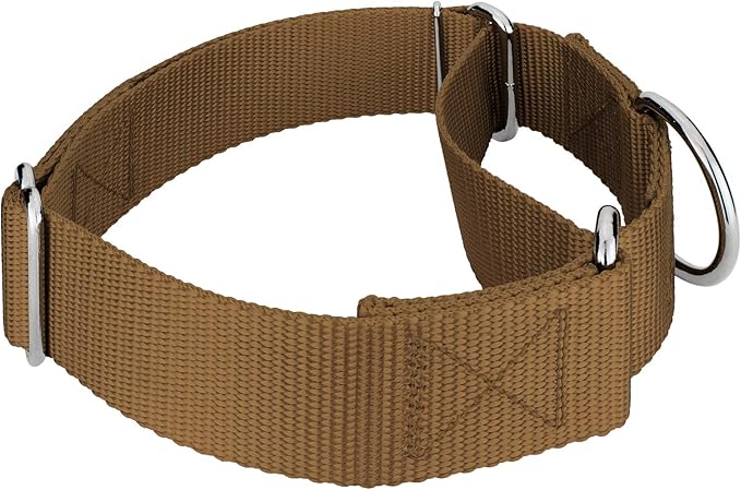Country Brook Petz 1 1/2 Inch Martingale Heavy Duty Nylon Adjustable Dog Collar for Small, Medium, Large Breeds - Vibrant 17 Color Selection (Coyote Tan, Medium)