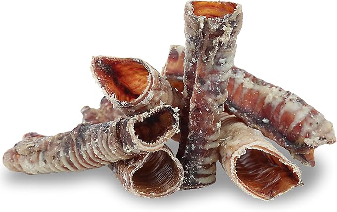 Pet Craft Supply All Natural Healthy Buffalo Trachea Bones Dog Chews Treats for Aggressive Chewers Long Lasting Rawhide Free Premium Slow Roasted for Puppies Small Medium Large Dogs 6 Pack