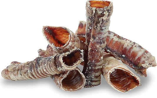 Pet Craft Supply All Natural Healthy Buffalo Trachea Bones Dog Chews Treats for Aggressive Chewers Long Lasting Rawhide Free Premium Slow Roasted for Puppies Small Medium Large Dogs 6 Pack