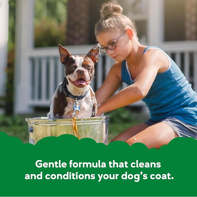 Buddy Grooming Wash 2 in 1 Dog Shampoo, Green Tea & Bergamot, 16 oz. Bottle